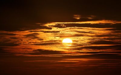Optimise your circadian rhythm
